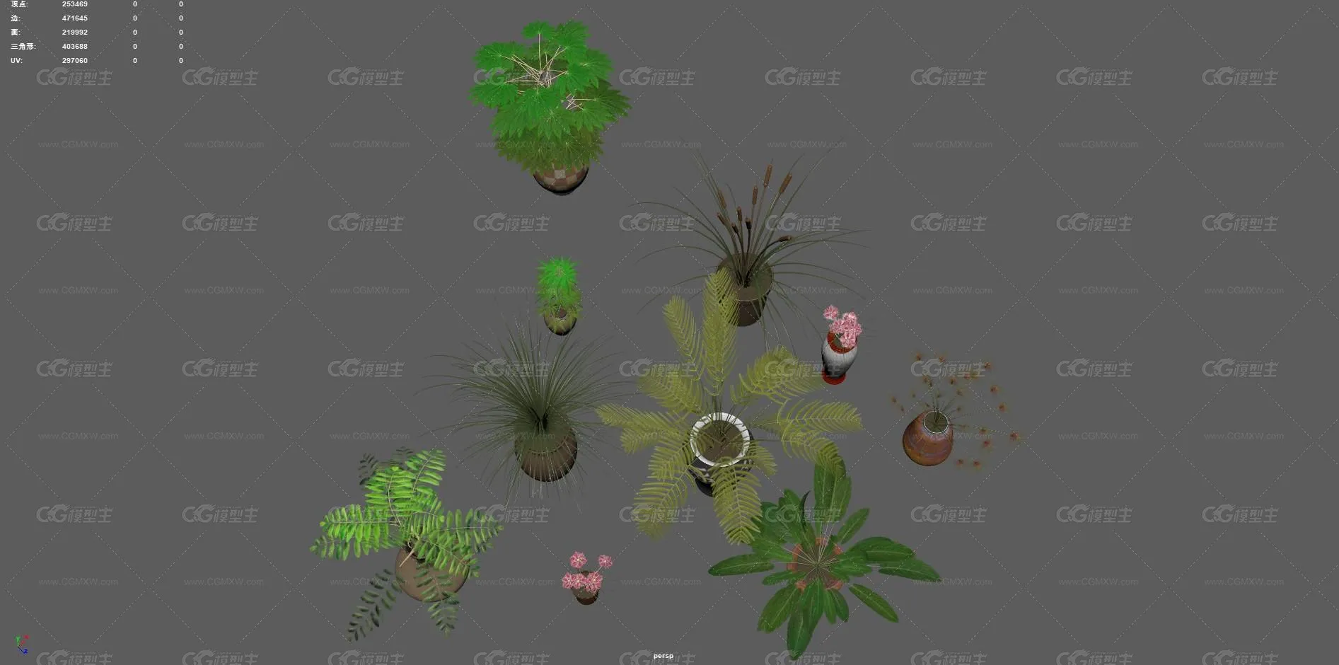 盆栽 花卉 花草 植物 室内植物 绿植 盆景 绿色植物 盆景 含羞草 室内装饰植物 花盆 花圃植物-4