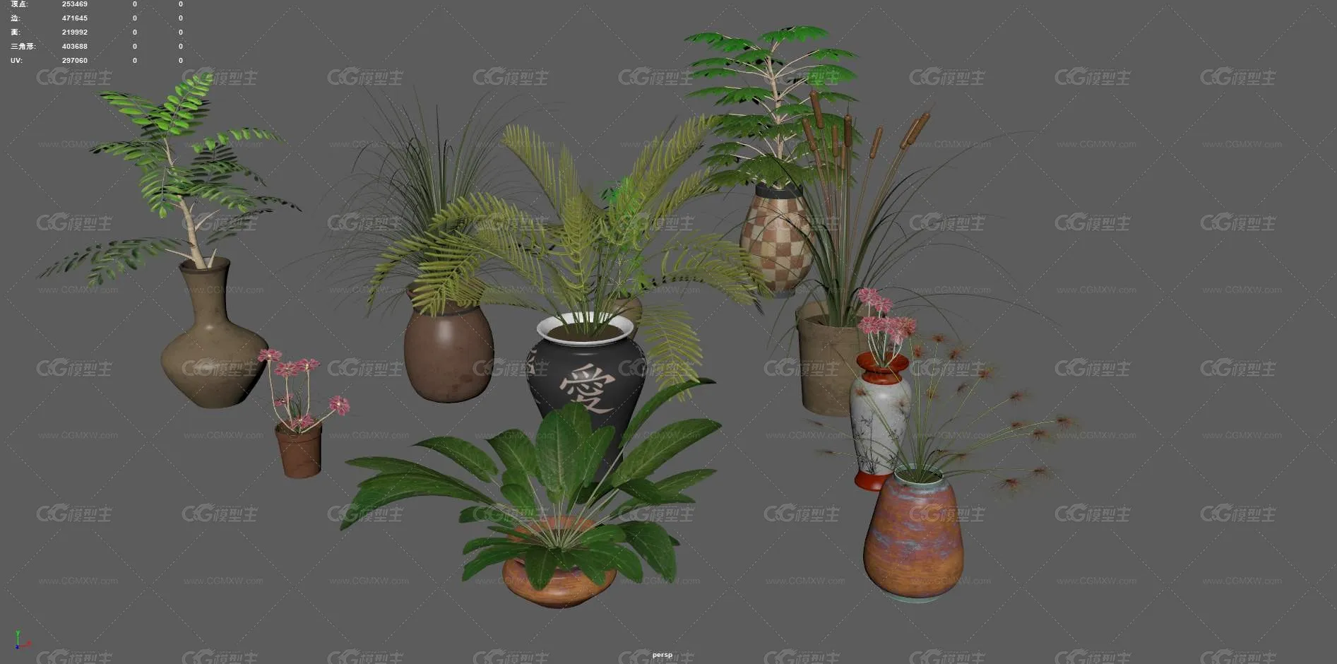 盆栽 花卉 花草 植物 室内植物 绿植 盆景 绿色植物 盆景 含羞草 室内装饰植物 花盆 花圃植物-6