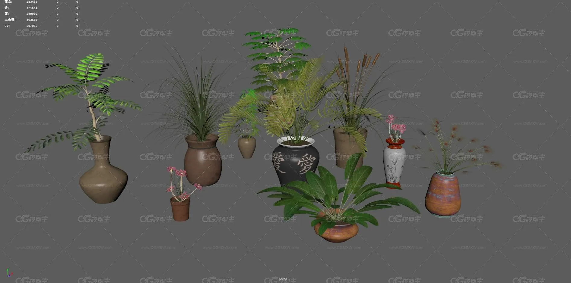 盆栽 花卉 花草 植物 室内植物 绿植 盆景 绿色植物 盆景 含羞草 室内装饰植物 花盆 花圃植物-9