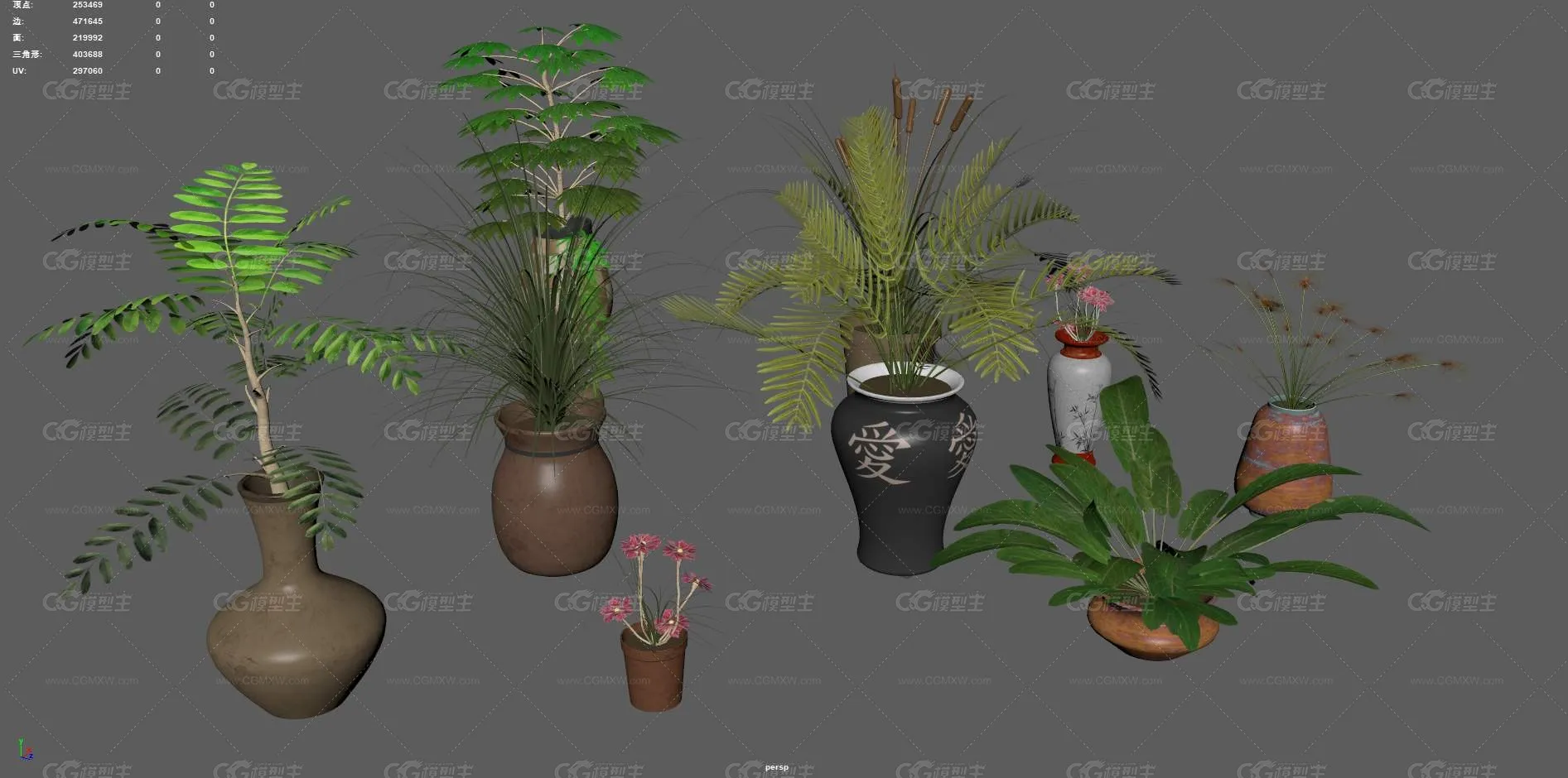 盆栽 花卉 花草 植物 室内植物 绿植 盆景 绿色植物 盆景 含羞草 室内装饰植物 花盆 花圃植物-5