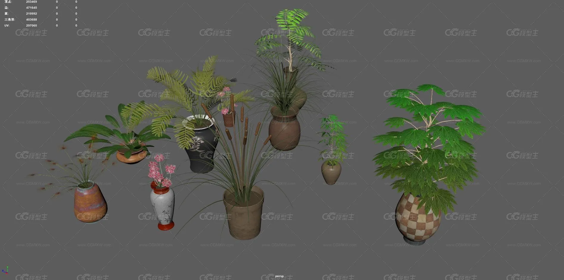 盆栽 花卉 花草 植物 室内植物 绿植 盆景 绿色植物 盆景 含羞草 室内装饰植物 花盆 花圃植物-8