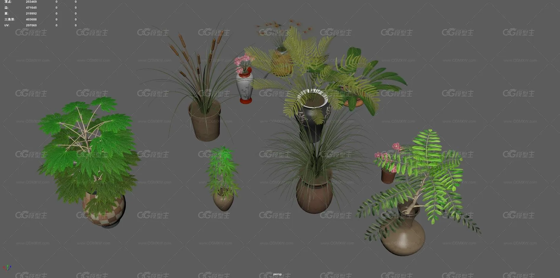 盆栽 花卉 花草 植物 室内植物 绿植 盆景 绿色植物 盆景 含羞草 室内装饰植物 花盆 花圃植物-7