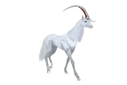 白色的独角兽   幻想马