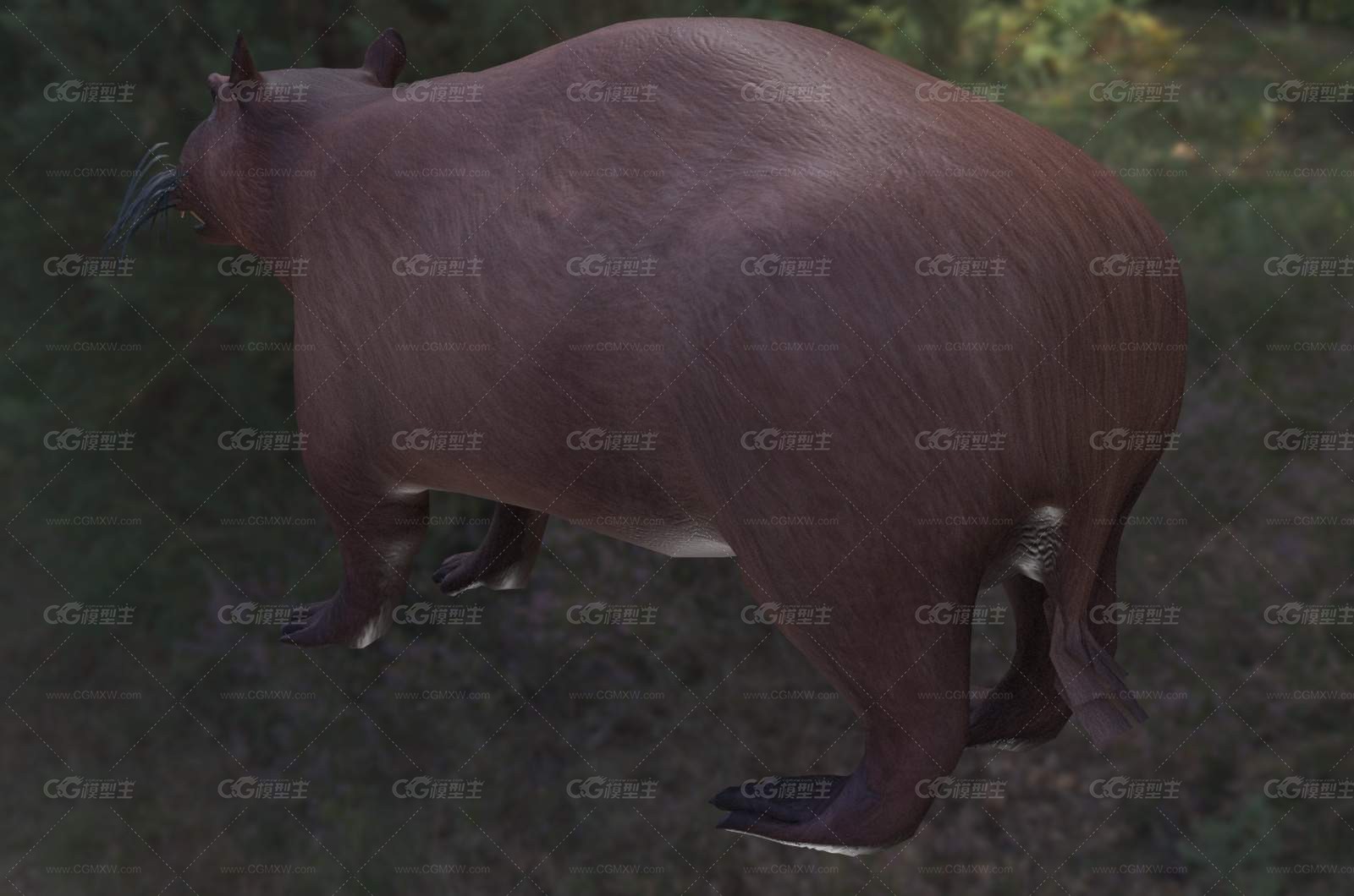 Kvabebihyrax kachethicus -2