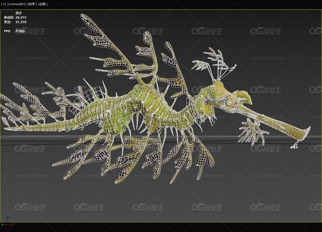 叶海龙叶形海龙藻龙枝叶海马海洋生物动物-3