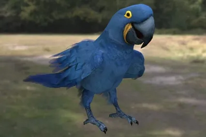 紫蓝金刚鹦鹉蓝紫金刚鹦鹉风信子金刚鹦鹉鸟类动物生物