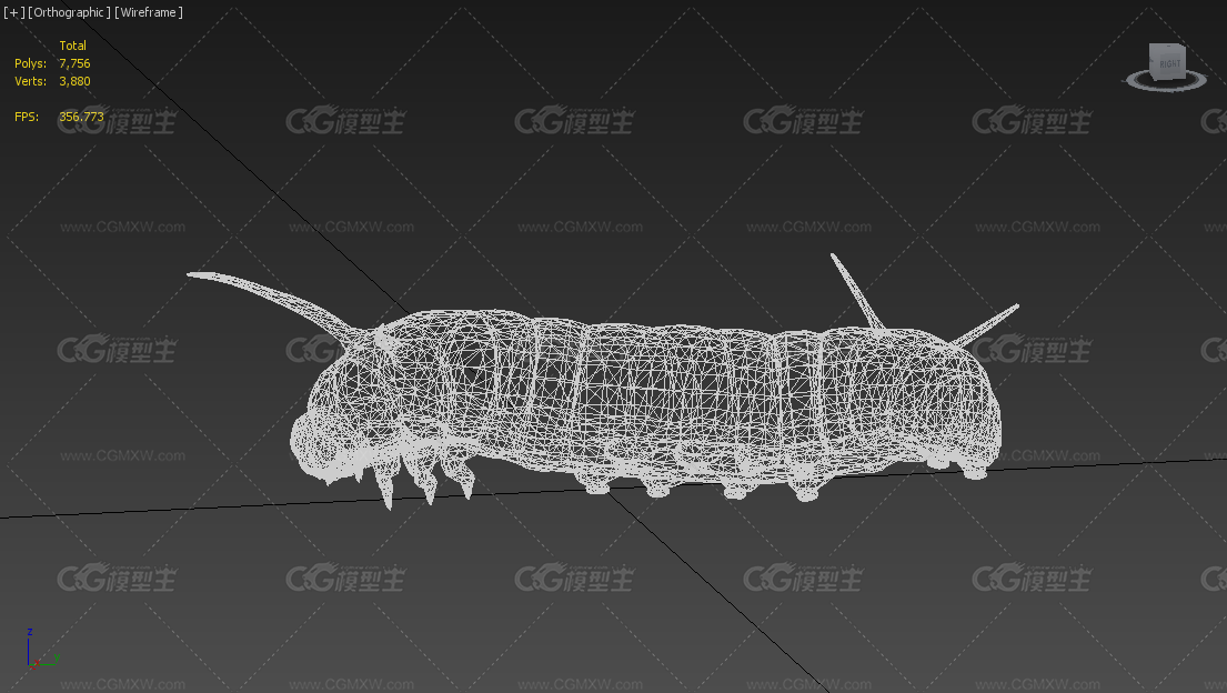 【带动画】蝴蝶幼虫 毛毛虫昆虫爬行 蛾类和蝶类-5