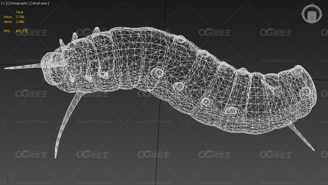 【带动画】蝴蝶幼虫 毛毛虫昆虫爬行 蛾类和蝶类-6