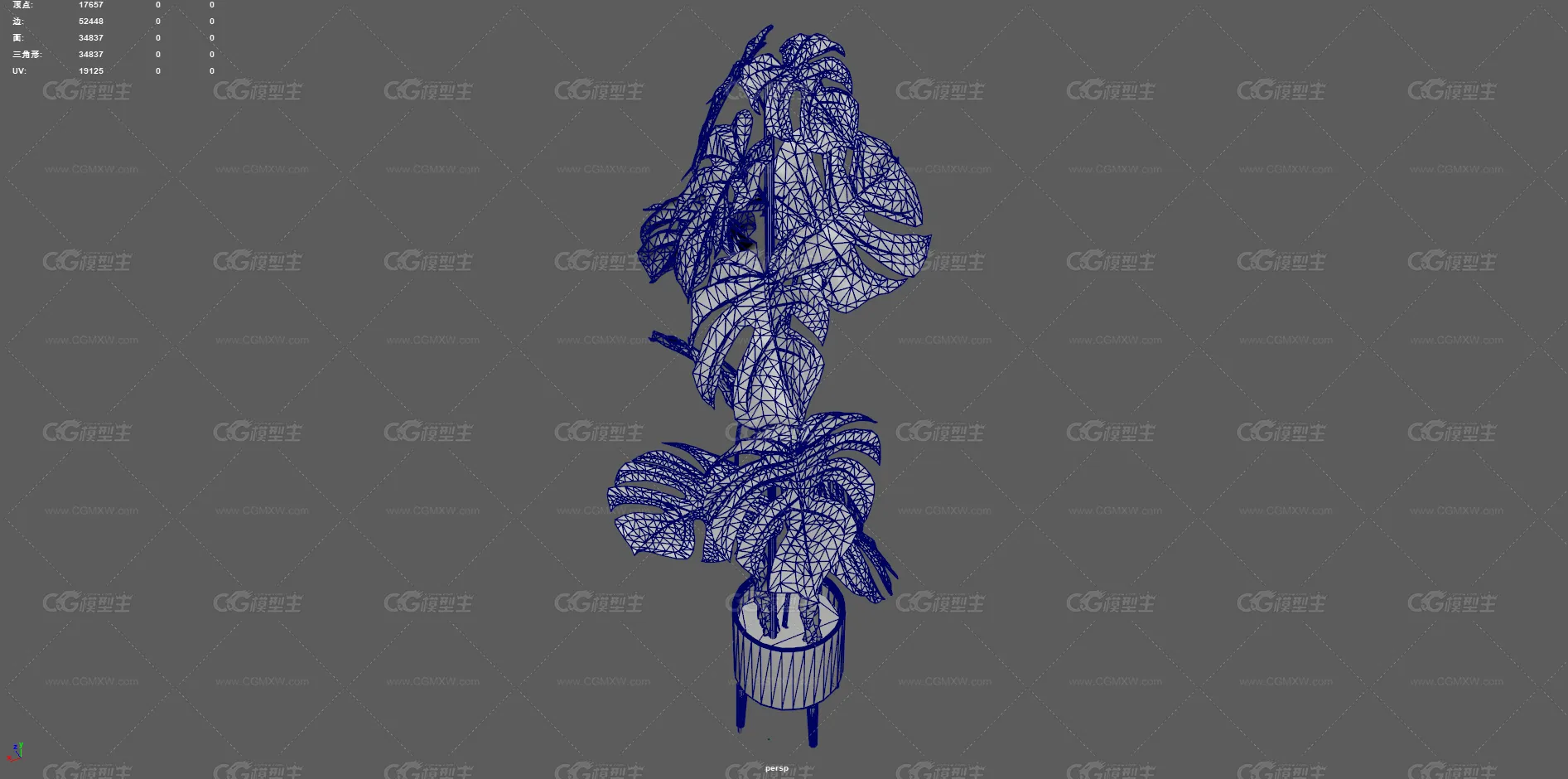 植物 龟背竹 盆栽 绿化 大叶植物 观赏植物 景观树 绿植 盆景 花卉 室内装饰植物 花草树木-10