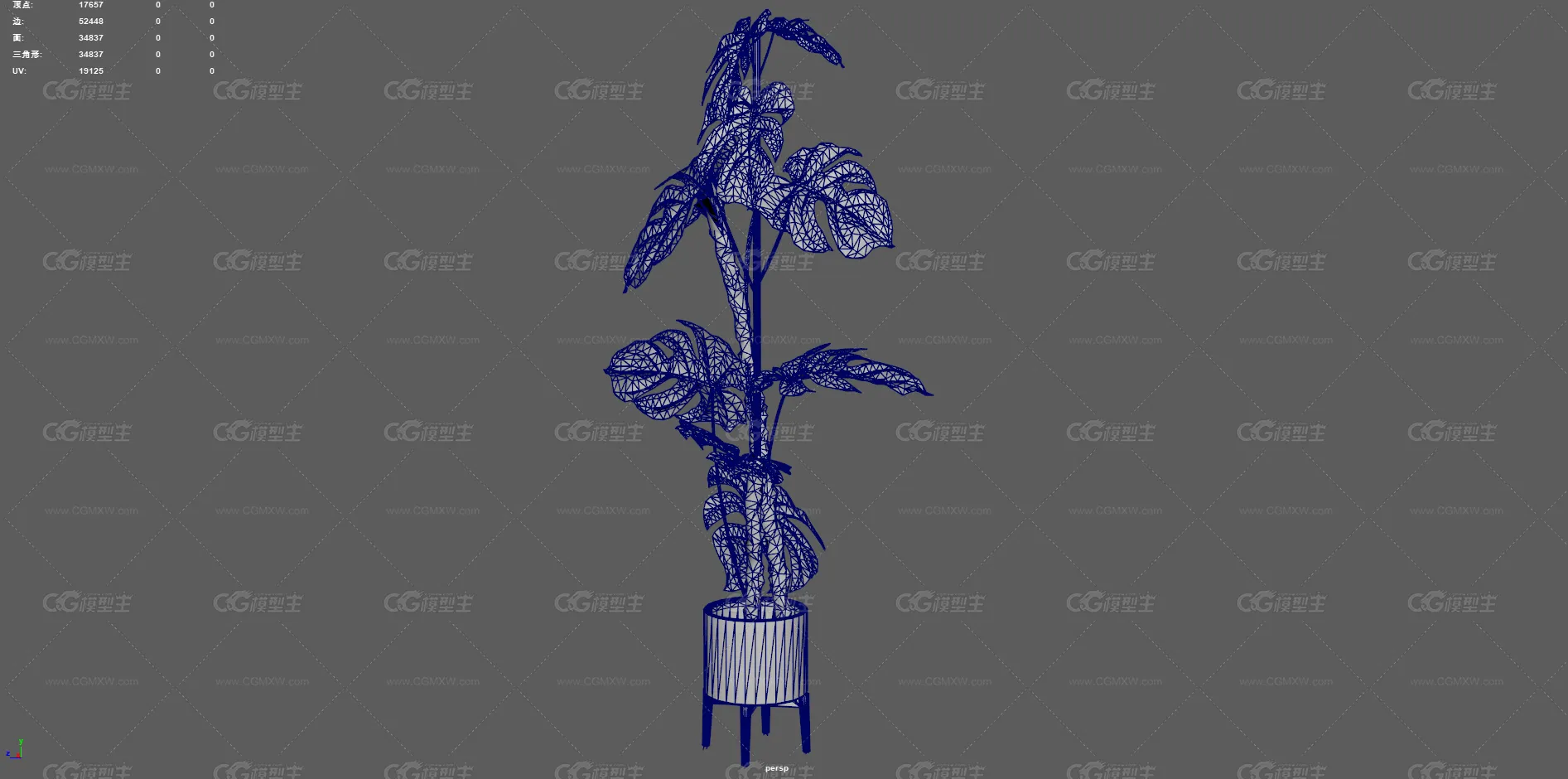 植物 龟背竹 盆栽 绿化 大叶植物 观赏植物 景观树 绿植 盆景 花卉 室内装饰植物 花草树木-11
