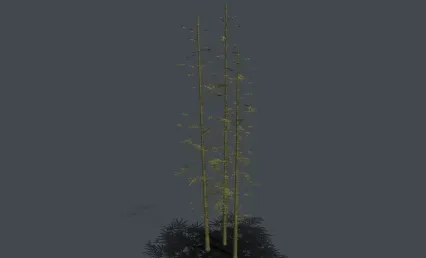 竹树 竹林 pbr竹子 