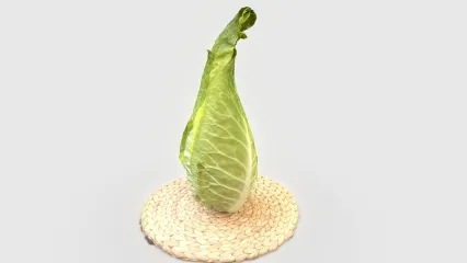 尖头卷心菜   德国萝卜   蔬菜   食物
