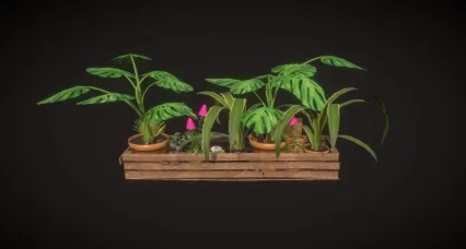 龟背竹 盆栽 花卉 兰花 植物 盆景 大叶植物 多肉 绿植 景观植物 野花 花草 花园 花丛 一串红