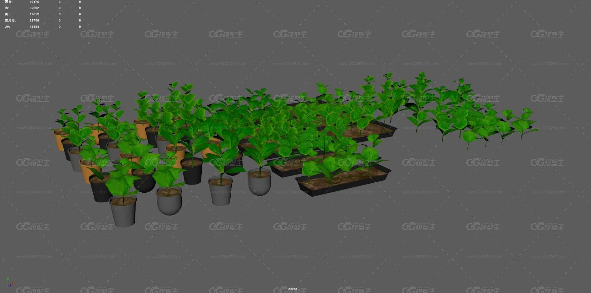花草 树苗 小苗 苗圃 植物苗 大棚幼苗 种植树苗 绿色植物 菜苗 植物幼苗 庄稼幼苗 禾苗-4