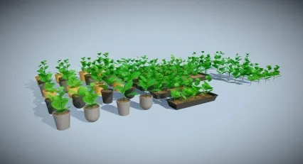 花草 树苗 小苗 苗圃 植物苗 大棚幼苗 种植树苗 绿色植物 菜苗 植物幼苗 庄稼幼苗 禾苗