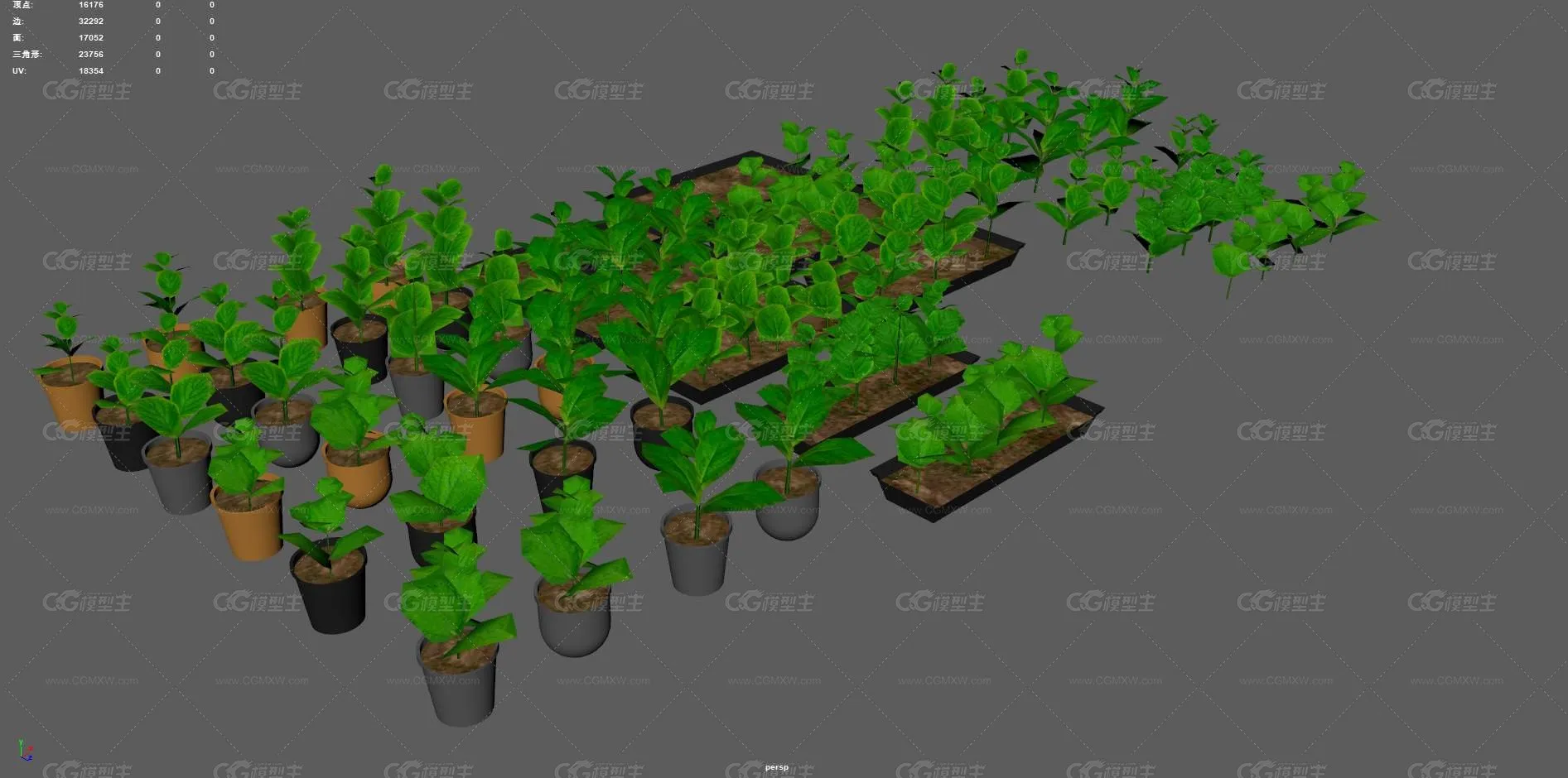 花草 树苗 小苗 苗圃 植物苗 大棚幼苗 种植树苗 绿色植物 菜苗 植物幼苗 庄稼幼苗 禾苗-9