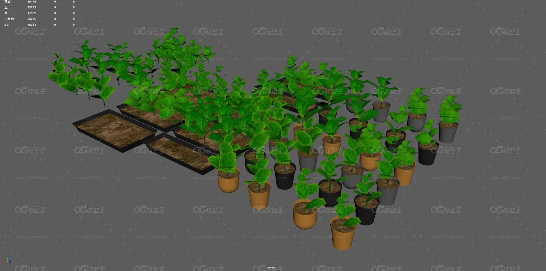 花草 树苗 小苗 苗圃 植物苗 大棚幼苗 种植树苗 绿色植物 菜苗 植物幼苗 庄稼幼苗 禾苗-7