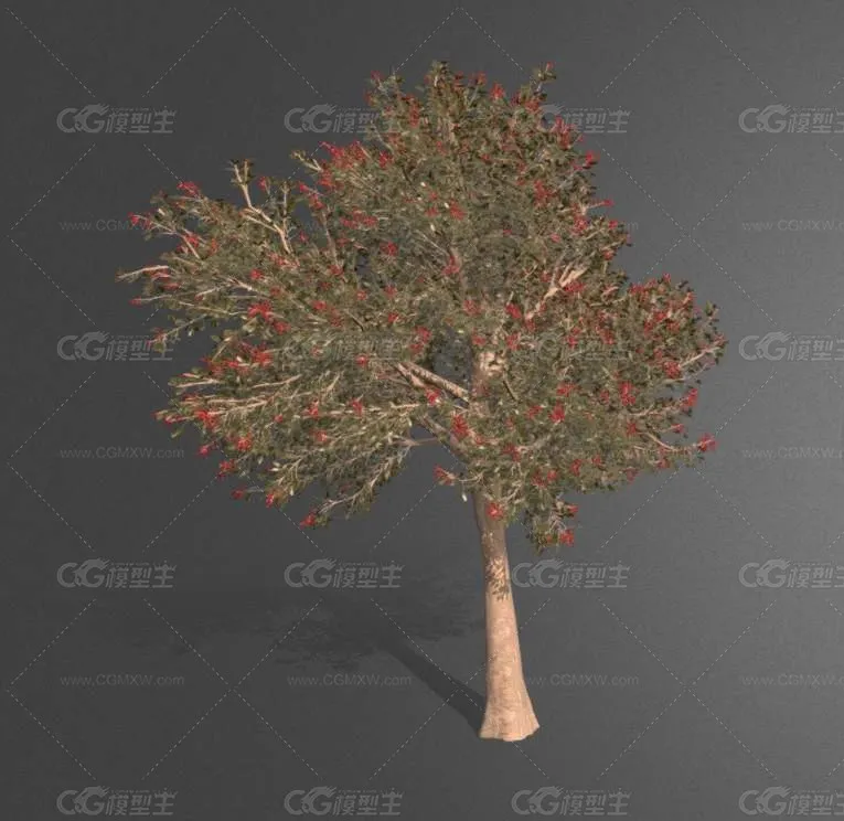 大树 树木 古树 园林植物 参天大树 植物 游戏树木 场景树木 老树 参天大树  景观树木-1