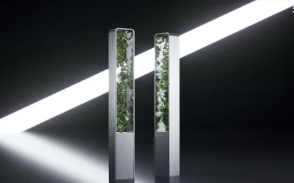 商业展台盆栽绿植