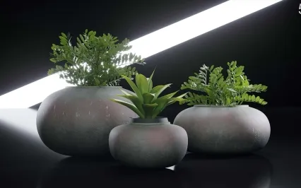 商业展台盆栽绿植