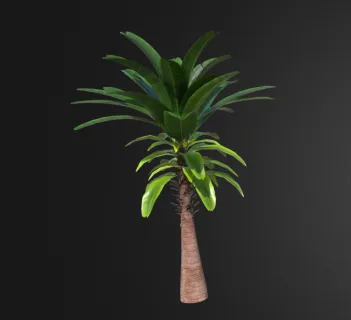 香蕉树 植物 树木 芭蕉树 热带植物 南方树木 棕桐树 椰子树